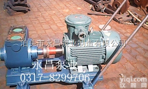 80YPB-60  YPB<em>清油</em><em>滑片</em>泵专业的生产商，永昌泵业