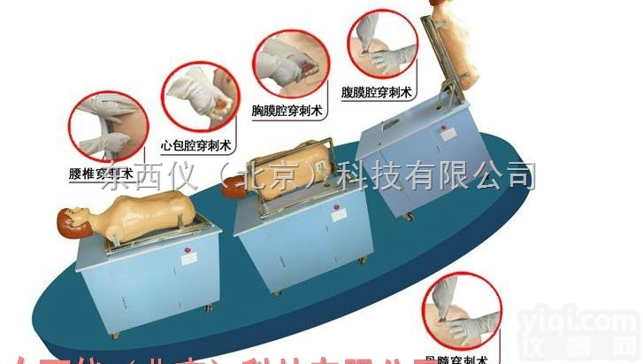 wi498  wi498 全自动多种穿刺<em>叩诊</em>电脑训练<em>模型</em>