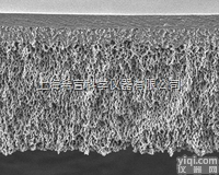 PLAC07610 76mm Ultracel PL圆片型<em>超滤</em>膜|<em>美国</em>...