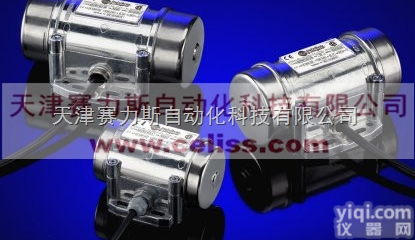 全  <em>意大利</em><em>ITALVIBRAS</em><em>振动电机</em>