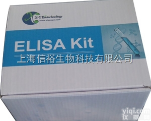 <em>豚鼠</em><em>白三烯</em>D4（LTD4）检测<em>试剂盒</em>