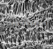 FGLP01300 13mm 聚四氟乙烯（PTFE）过<em>滤膜</em>|美国密<em>理博</em>...