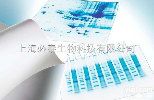 Immobilon <em>转印</em>膜  Millipore <em>PVDF</em><em>转印</em>膜