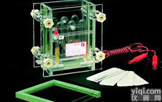 DL19-DYCZ-28A  单板夹芯式<em>垂直电泳</em>仪 蛋白<em>凝胶电泳</em>槽 夹芯式<em>垂直电泳</em>仪