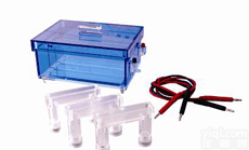 DL19-DYCP-43  <em>蛋白</em>质回收<em>电泳</em>仪 <em>蛋白</em>质回收<em>电泳</em>分析仪 回收<em>电泳</em>槽