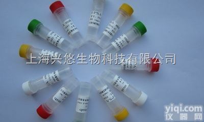 Anti-TLR4/FITC<em>荧光</em>素标记Toll样<em>受体</em>4<em>抗体</em>IgG