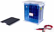 DL19-DYCZ-40A  <em>转印</em><em>电泳仪</em> 电泳分析仪 <em>电泳仪</em> <em>电泳槽</em>