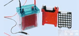 DL19-DYCZ-40D  迷你<em>转印</em><em>电泳仪</em> <em>转印</em>电泳槽 GX率<em>转印</em><em>电泳仪</em>