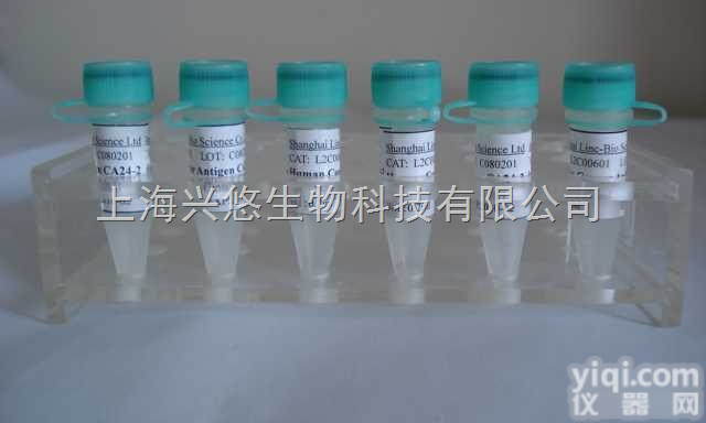 Anti-HAS/FITC<em>荧光素标记鼠抗人血清白蛋白单克隆抗体IgG</em>