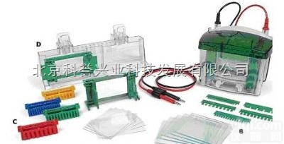 <em>Mini</em> <em>PROTEAN</em>®4  Bio-Rad <em>Mini</em>-<em>PROTEAN</em>® Tetra垂直电...