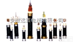 KVV KVVP KVVP2  <em>塑料</em><em>绝缘</em><em>控制电缆</em>