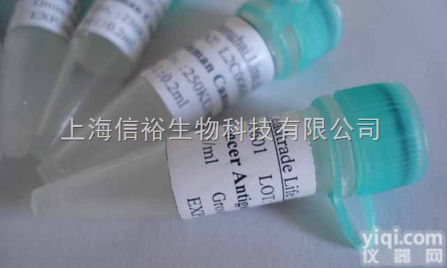 <em>核蛋白</em><em>共济</em>失调<em>毛细血管</em>扩张症蛋白抗体