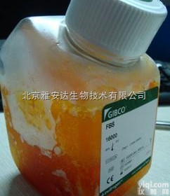 <em>GIBCO</em>胎牛<em>血清</em> 16000-044进口金Pai胎牛<em>血清</em>500ml<em>价格</em>
