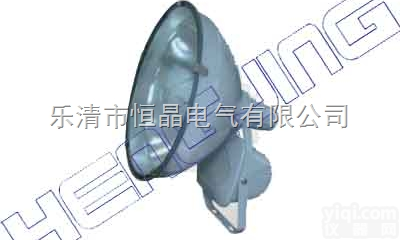 GT101-L250投光灯,250w<em>防水</em>防尘防震投光灯,<em>分体式</em>投光灯