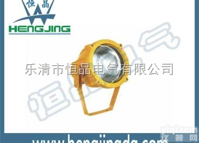 <em>防爆</em><em>投光灯</em>TGF765-100w/220v<em>隔爆型</em><em>投光灯</em>