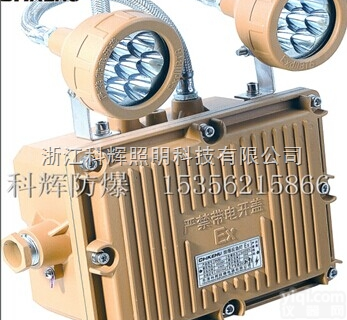 BAJ52-6W  <em>防爆</em><em>疏散</em>灯/<em>防爆</em>应急灯/双头应急灯