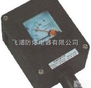 BYB8030/BYB8050  <em>防爆</em><em>防腐</em><em>仪表</em>