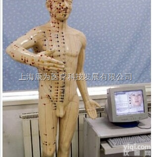 KDF/A18217  多媒体教学与临床运用系统标准针灸人|<em>中医人体针灸医学模型</em>