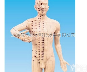 KDF/18218  多媒体模拟人考试系统标准针灸人|<em>中医人体针灸医学模型</em>