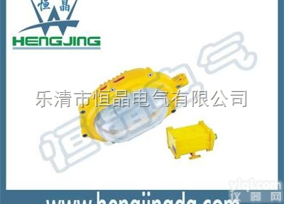 防爆<em>应急</em>灯TGF753E-70w<em>金卤灯</em>/防爆防腐照明灯