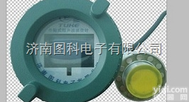 TK-LW  <em>液化</em>气<em>石油</em>气液位计