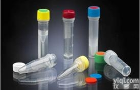 <em>人子宫颈癌细胞（GFP基因修饰）</em>，HeLa-GFP