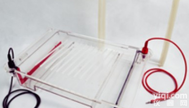 DYCP-32C  <em>北京</em>六一DYCP-32C型 琼脂糖水平<em>电泳仪</em> 核酸<em>电泳仪</em> <em>电泳槽</em>（大号...