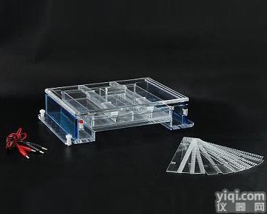 DYCP-34A  <em>北京</em>六一DYCP-34A琼脂糖水平<em>电泳仪</em><em>电泳槽</em> 核酸<em>电泳仪</em>（大号）