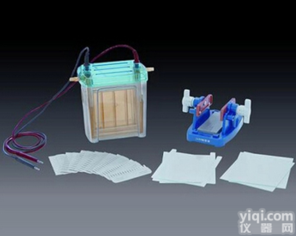 <em>DYCZ</em>-24EN  北京六一双垂直电泳仪<em>电泳槽</em>（中号）<em>DYCZ</em>-24EN蛋白凝胶电泳及双向...