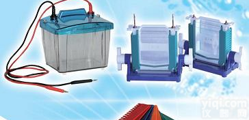 DYCZ-25E  北京六一DYCZ-25E型 P4<em>蛋白</em>垂直<em>电泳</em>仪 <em>电泳</em>槽 <em>蛋白</em>凝胶<em>电泳</em>