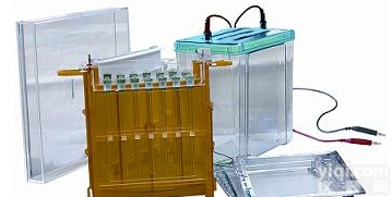 <em>DYCZ</em>-26C  北京六一<em>DYCZ</em>-26C双向<em>电泳槽</em><em>电泳仪</em>