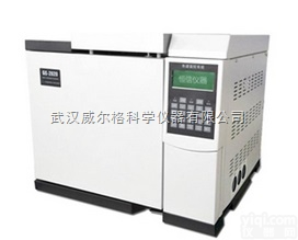 <em>GC2020煤矿系统专用气相色谱仪</em>