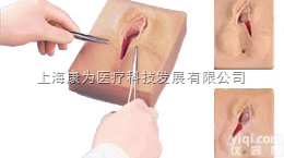 W44096  会阴切开缝合模拟器，3部分一套|<em>德国3B人体解剖模型</em>