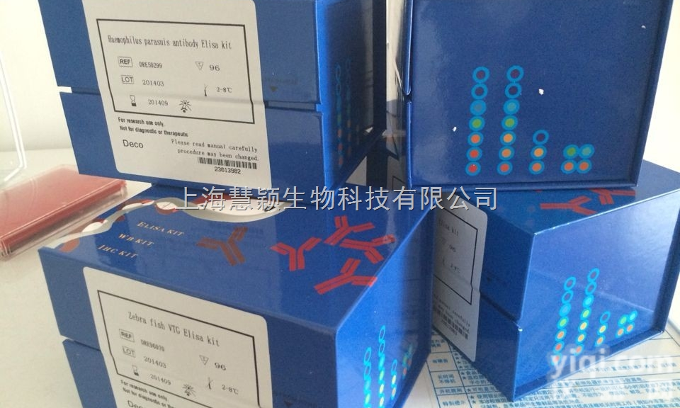 <em>大鼠alpha-Fodrin抗体IgG/IgA Elisa试剂盒</em>