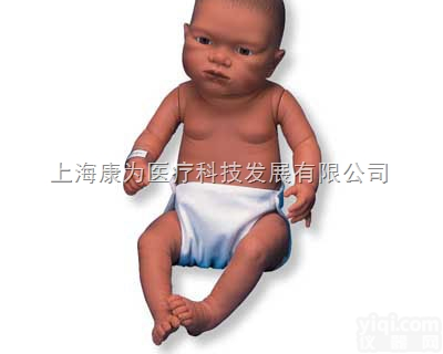 W17009  拉丁美洲婴儿护理模型，女|<em>德国3B人体解剖模型</em>