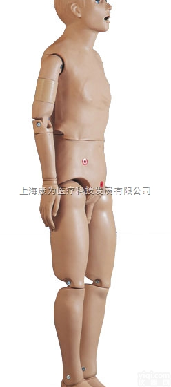 W45070  基础病人护理模型，男性|<em>德国3B人体解剖模型</em>