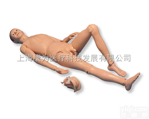 P11  病人护理模型II|<em>德国3B人体解剖模型</em>