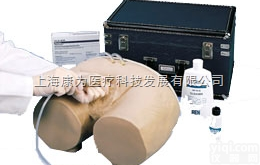 W44005  男性导尿管插入模拟|<em>德国3B人体解剖模型</em>