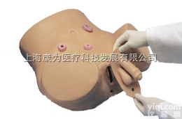 W45068  <em>导尿</em>和造瘘<em>护理</em>模拟，男性和女性|德国3B人体解剖<em>模型</em>