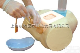 W19351  <em>插管</em>模拟器/供男性尿管和耻骨上膀胱<em>导管</em><em>插管</em>临床研究|德国3B人体解剖模...