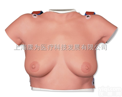 L51  着装式<em>乳房</em><em>自检</em><em>模型</em>|德国3B人体解剖<em>模型</em>