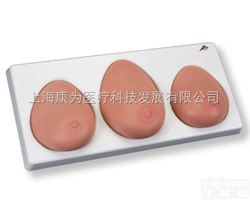 L55  <em>乳房</em>自检<em>模型</em>， 3个不同<em>乳房</em>置于基板上|德国3B人体解剖<em>模型</em>