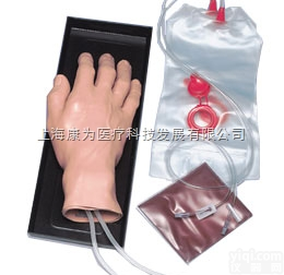 W44600  静脉<em>注射</em>手<em>模型</em>|德国3B人体解剖<em>模型</em>