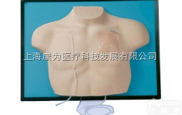 W43007  ZY<em>静脉</em>内插管<em>模型</em>|德国3B人体解剖<em>模型</em>
