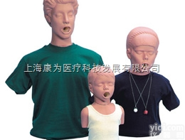 W44583  窒息躯干模型，青少年|<em>德国3B人体解剖模型</em>