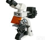 <em>凤凰光学</em>1501落射荧光显微镜