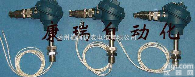 wzp-215  <em>耐腐</em>，耐油<em>热电阻</em>