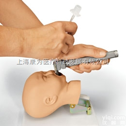 W19008  <em>插管</em>练习头<em>模型</em>|德国3B人体解剖<em>模型</em>