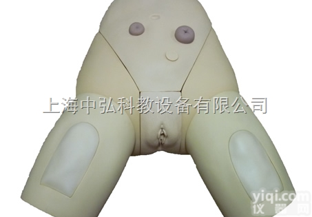 ZH/E2  <em>高级</em>整体<em>导尿</em><em>模型</em>，下半身<em>导尿</em><em>模型</em>，女性<em>导尿</em><em>模型</em>