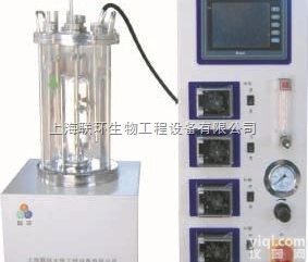 SBJ-5L  <em>5L玻璃发酵罐</em>